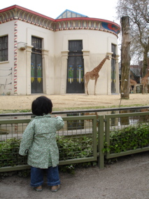 11 April 9.jpg